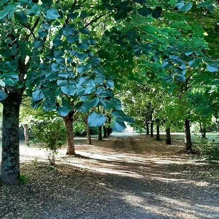 Holiday home La Touche