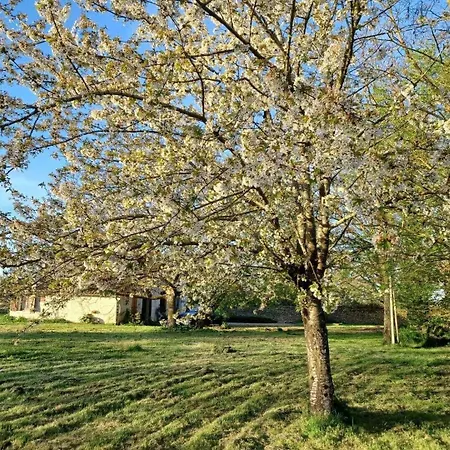 Holiday home La Touche Cherves